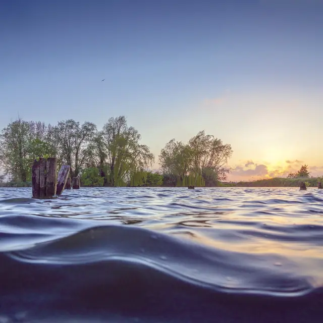Réserve des étangs du Romelaëre 2018 CLAIRMARAIS © Eden 62 (9)