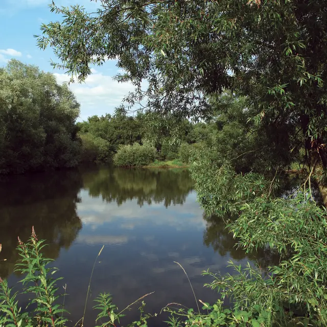 Réserve du Plateau des Landes 2010 BLENDECQUES © F.Quivrin Comimatex - Tourisme en Pays de Saint-Omer (5)