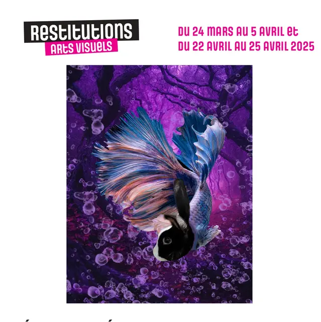 Restitutions Arts Visuels
