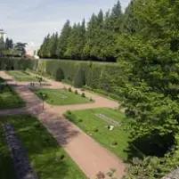 Sophrologie Jardin Public