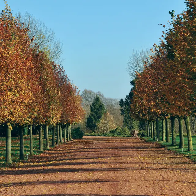 Upon d'Aval 2009 DELETTES © Photo Carl - Tourisme en Pays de Saint-Omer