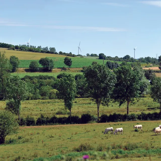 Vue Paysage Moulin 2010 SAINT-MARTIN D'HARDINGHEM © Photo Carl - Tourisme en Pays de Saint-Omer (1)
