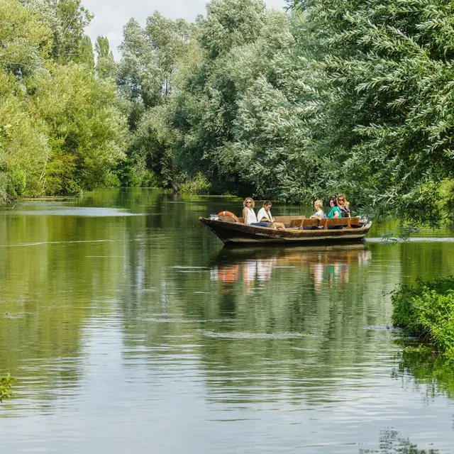 Balade en bateau dans le marais audomarois
