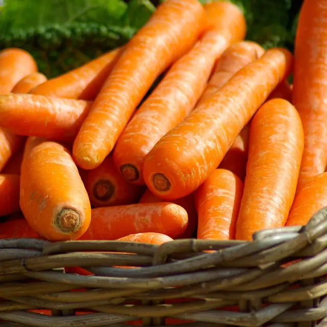 marché_légumes