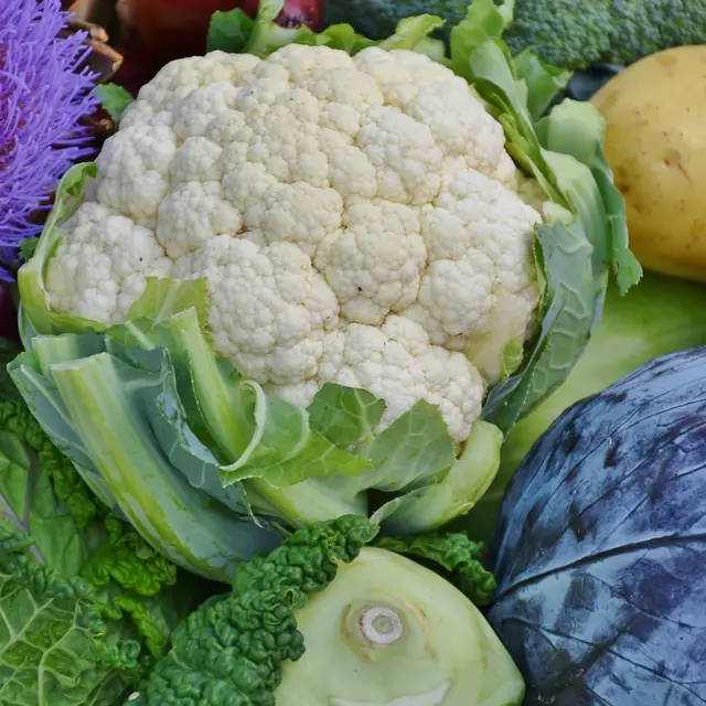 marché_légumes