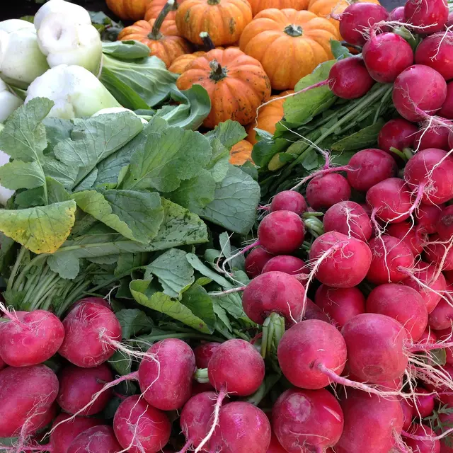 marché_légumes