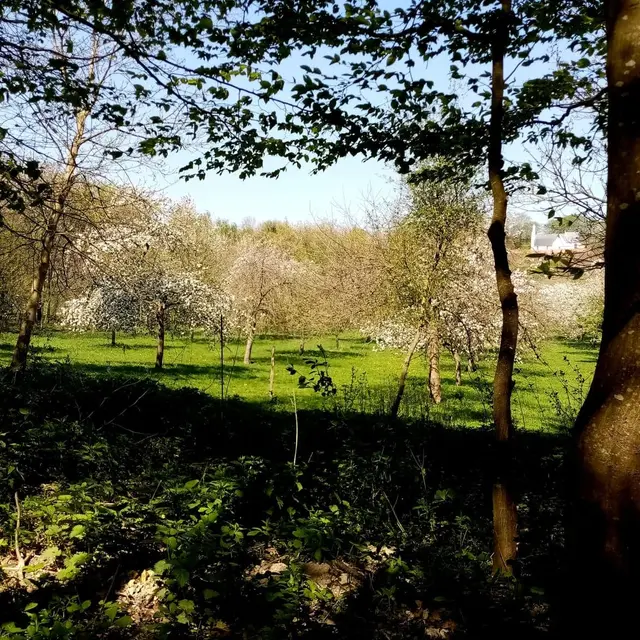 Les vergers de l'Escapade