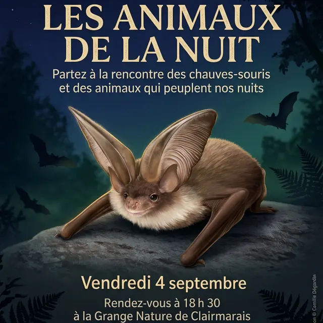 affiche la nuit des animaux