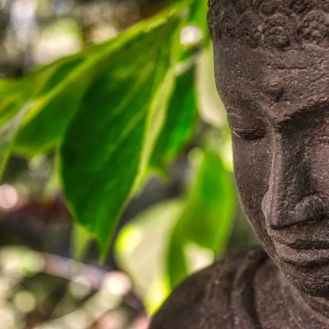 buddha_ qi gong_zen_ photo d-illustration non contractuelle DR