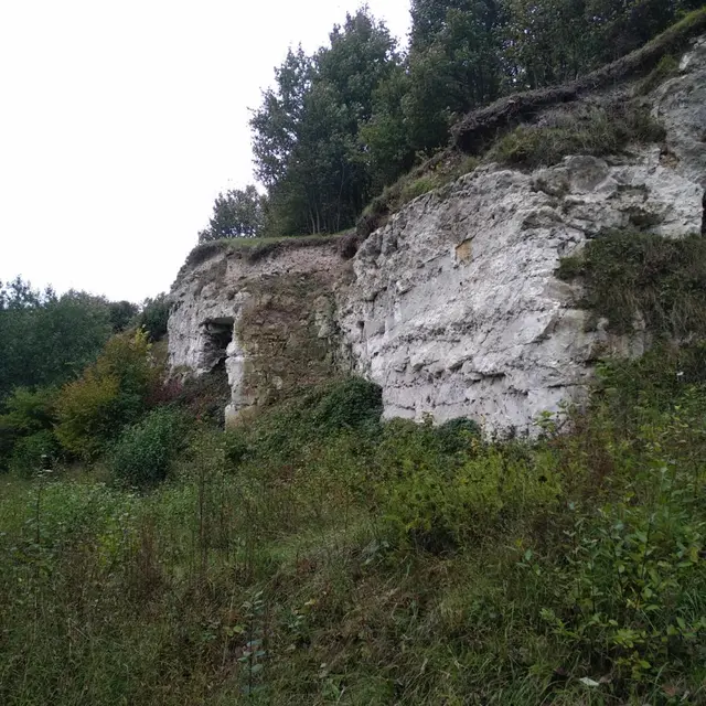 cenp_069561ori