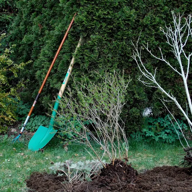 Atelier permaculture