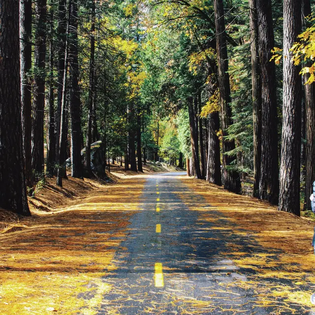 Illustration itinéraire