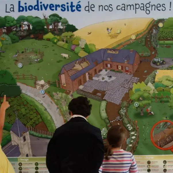 Exposition sur la Biodiversité