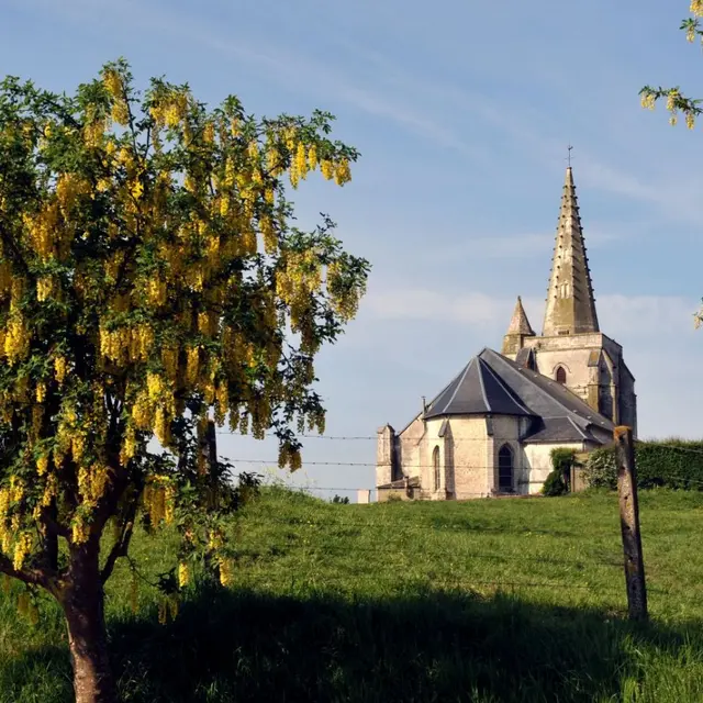 Le Mont de Drionville - Nielles-les-Bléquin