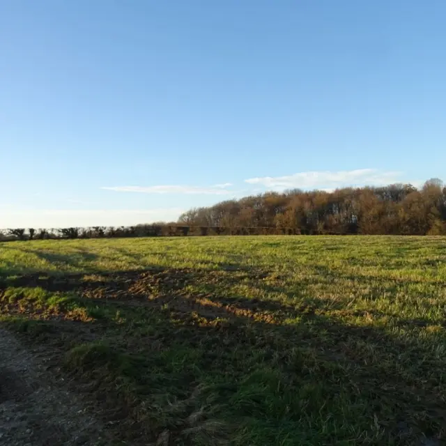 Les 4 Bois - Bouvelinghem