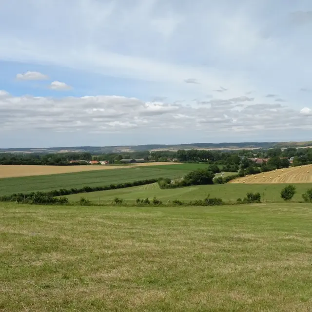 Le Mont Vert à Alquines