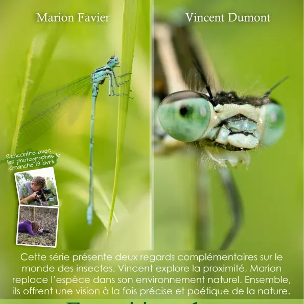 Affiche Exposition Marion Favier et Vincent Dumont