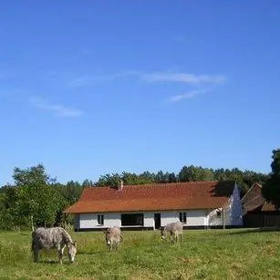 Dans le bleu du ciel