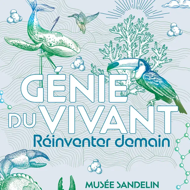 22mai-07fev27_EXPO Sandelin GENIE DU VIVANT