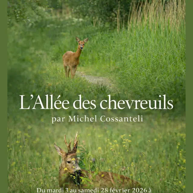 Du 3 au 28 février, Exposition L'Allée des chevreuils à Média'Tour Longuenesse