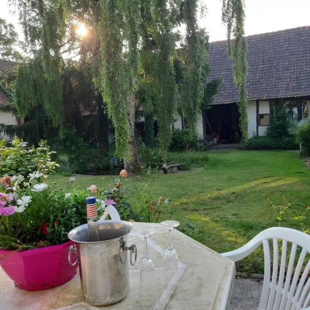 Le Domaine des anges, terrasse