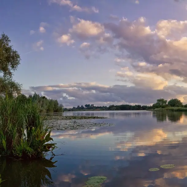 Réserve naturelle nationale du Romelaëre à Clairmarais