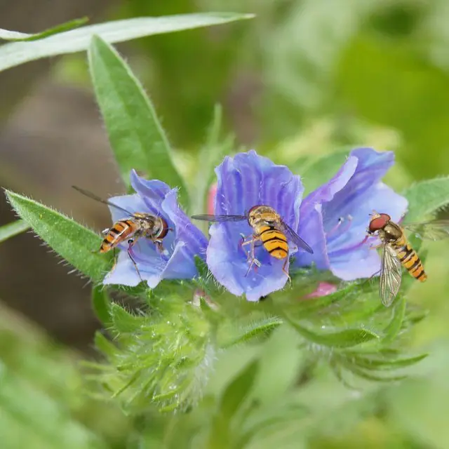 6 septembre, CEN - Sortie nature à Delettes