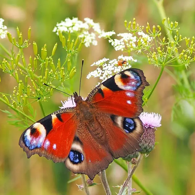 atelier vacances nature au jardin