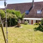 MERS-LES-BAINS Les goelands