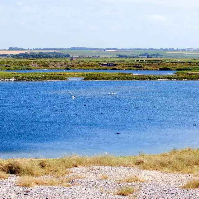 HÂBLE D'AULT ET SA RÉSERVE ORNITHOLOGIQUE