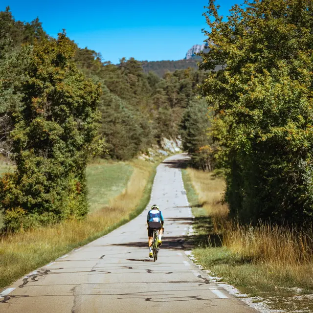 Alpes Verdon Tours
