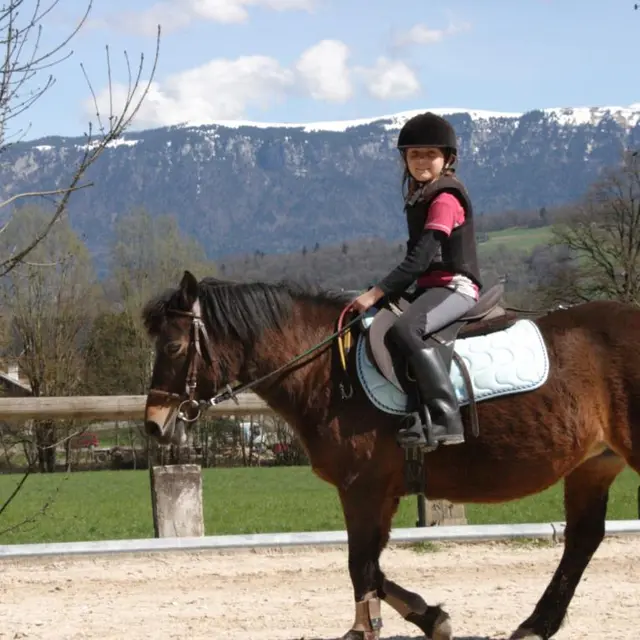 Cours particulier équitation enfant