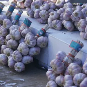 marché2