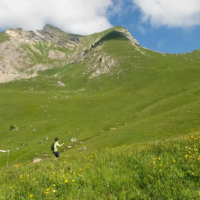 Randonnée accompagnée