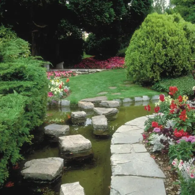 jardin japonais