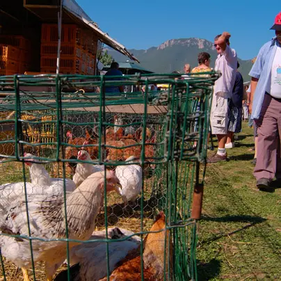 Traditionnelle Foire aux Dindes de Lagrand