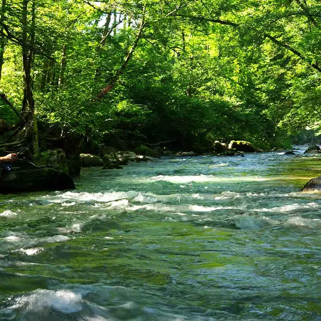 Pêche en rivière