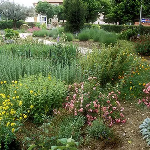 Le Jardin des Arômes à Nyons