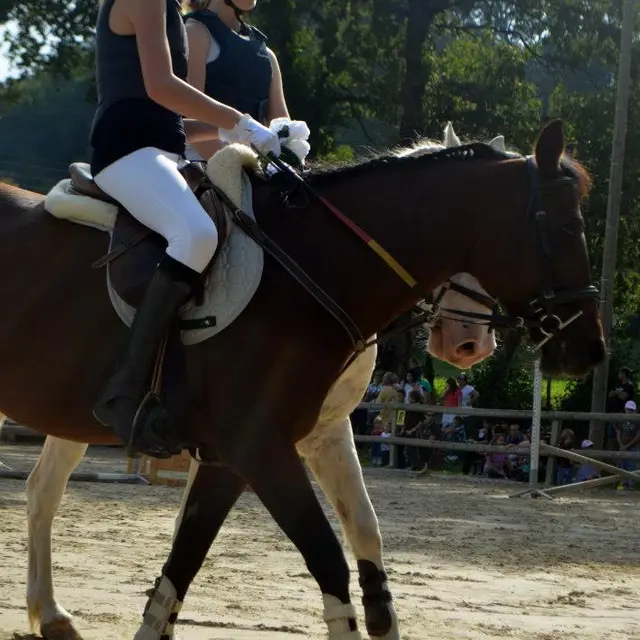Cours équitation ado Albanais