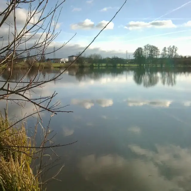 Etang de Savigneux