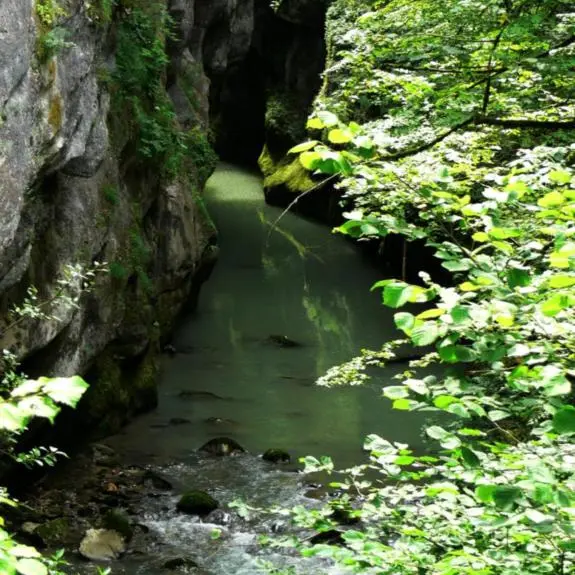 Gorges du Guiers vif