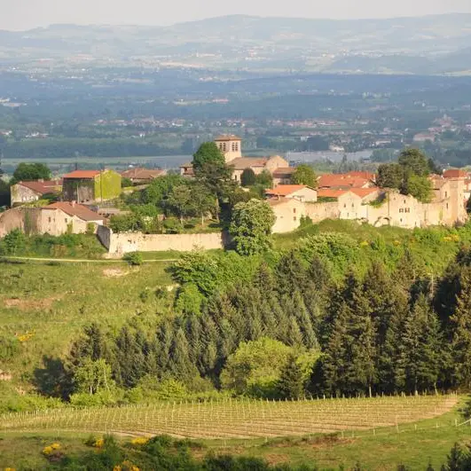 Saint Haon le Châtel