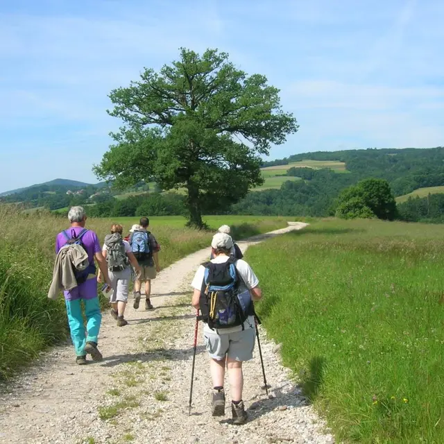 Plateau_des_Bornes