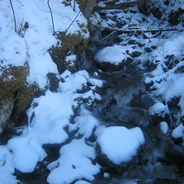Cascade