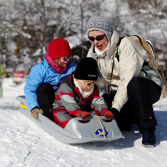 luge_hiver
