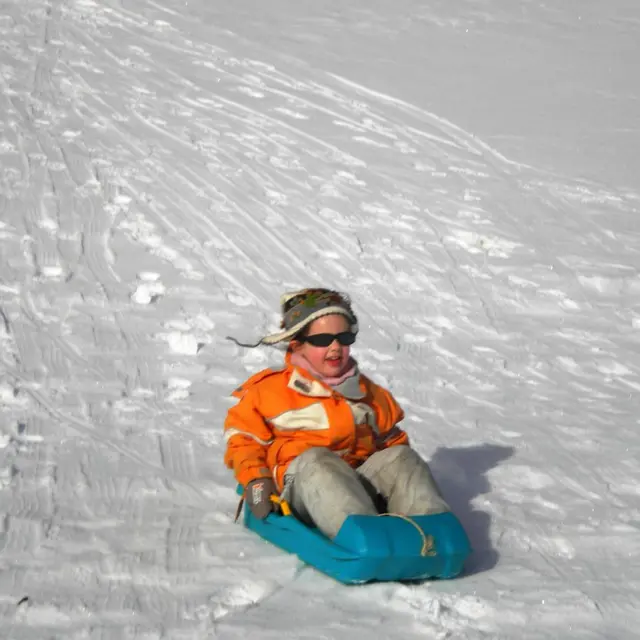Luge