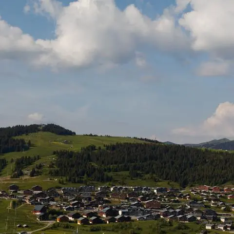 Chard du Beurre - Beaufortain