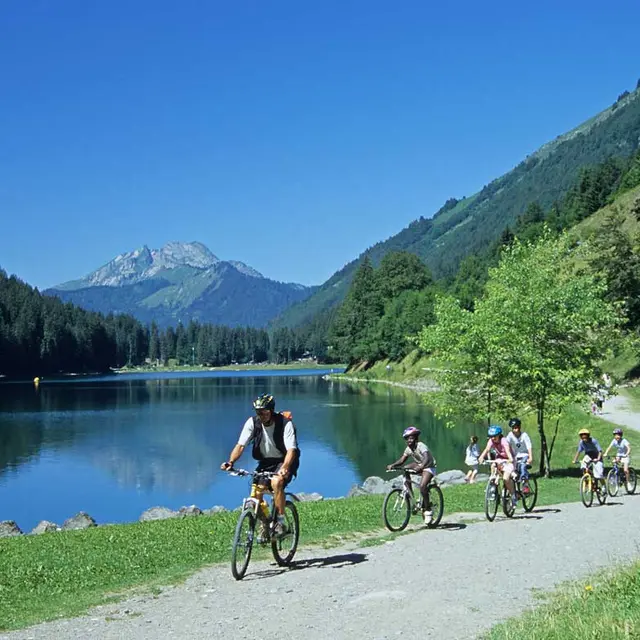 Sorties VTT encadrées