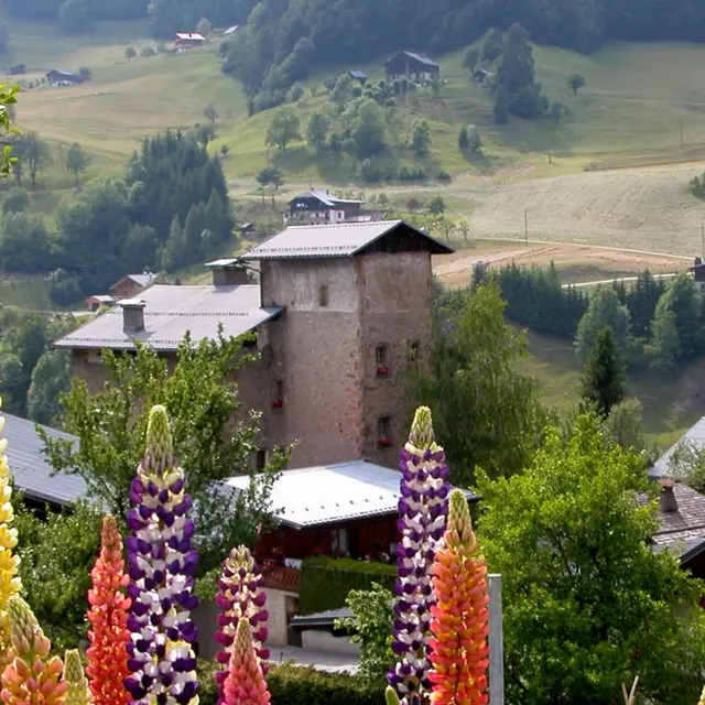 La maison forte De Bieu