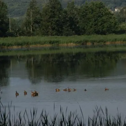 Circuit Les Grandes Terres